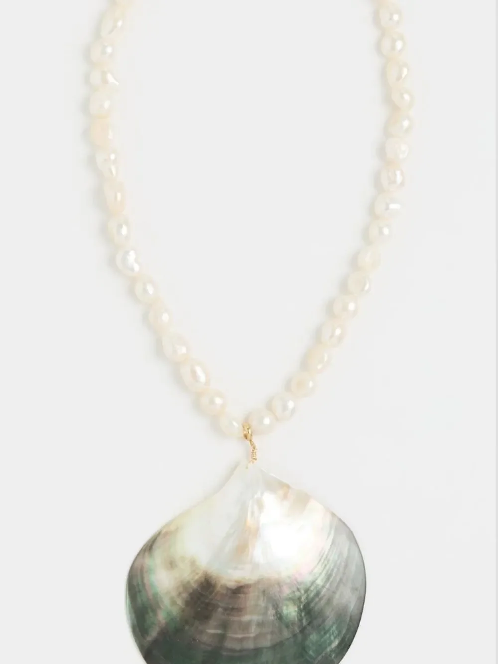 Mayamar delicate freshwater